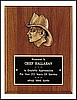 Firematic Award Plaque (8"x10")